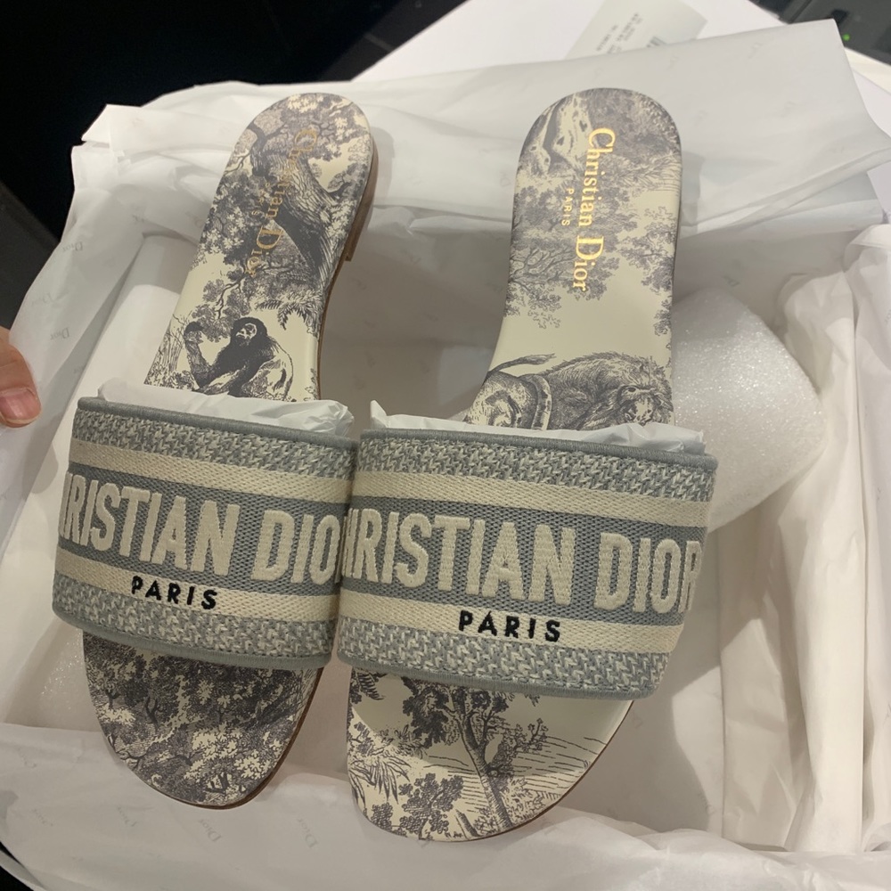 BRAND NEW NEVER WORN DIOR DWAY MULES